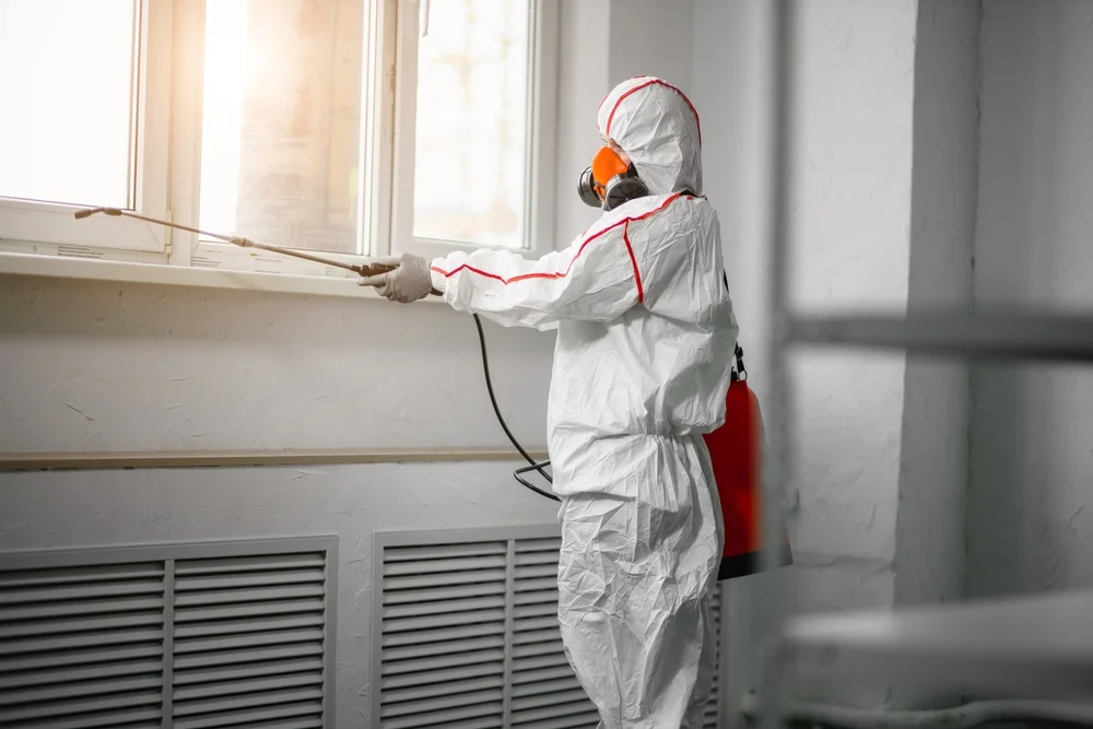Professional mold remediation services in Matteson, IL